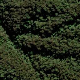 Satellite imagery of TS5599WANGAT, AU