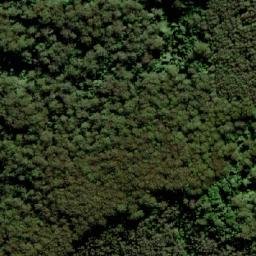 Satellite imagery of TS5599WANGAT, AU