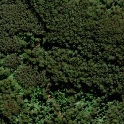 Satellite imagery of TS5599WANGAT, AU