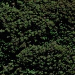 Satellite imagery of TS5599WANGAT, AU