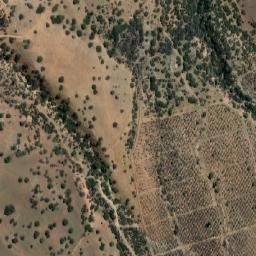 Satellite imagery of El Álamo, CL