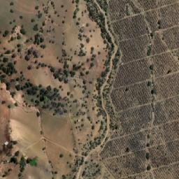 Satellite imagery of El Álamo, CL