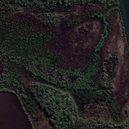 Satellite imagery of Pig Point, AU
