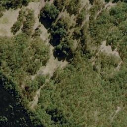 Satellite imagery of Big Brother, AU
