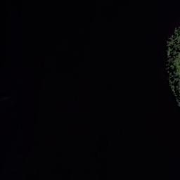 Satellite imagery of McIntosh’s Point, AU