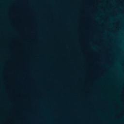 Satellite imagery of Baudin Point, AU