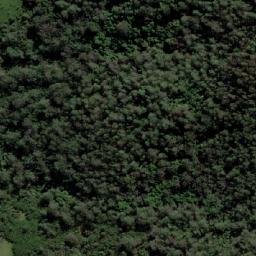 Satellite imagery of Bellbird Hill, AU