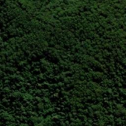 Satellite imagery of Cabbage Tree Mountain, AU