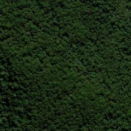 Satellite imagery of Cabbage Tree Mountain, AU