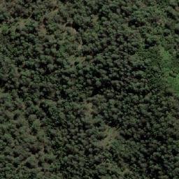 Satellite imagery of Bellbird Hill, AU