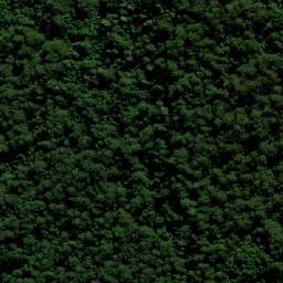 Satellite imagery of Cabbage Tree Mountain, AU