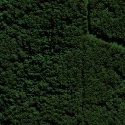 Satellite imagery of Cabbage Tree Mountain, AU