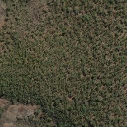 Satellite imagery of Mount Cuthbert, AU