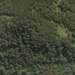 Satellite imagery of Mount Dyrring, AU