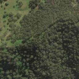 Satellite imagery of Mount Dyrring, AU