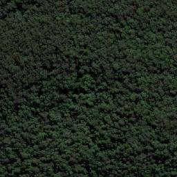Satellite imagery of Renwicks Sugarloaf, AU