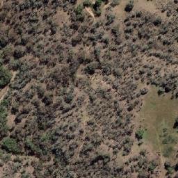 Satellite imagery of Mollys Mountain, AU