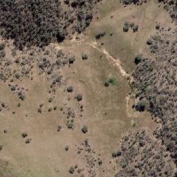 Satellite imagery of Mollys Mountain, AU