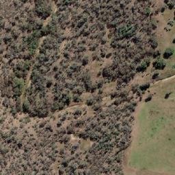Satellite imagery of Mollys Mountain, AU