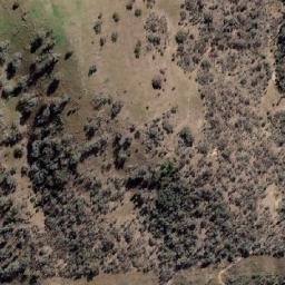 Satellite imagery of Mollys Mountain, AU