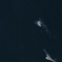 Satellite imagery of Punta Cañas, CL