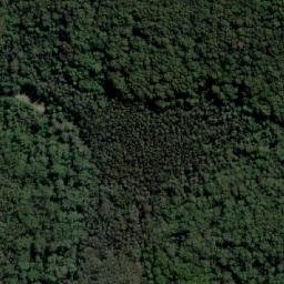 Satellite imagery of Shelley Point, AU