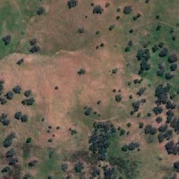 Satellite imagery of Box Hill, AU