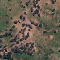 Satellite imagery of Box Hill, AU