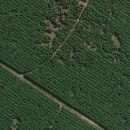 Satellite imagery of survey_point, BR