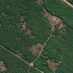 Satellite imagery of survey_point, BR