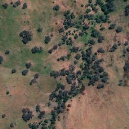 Satellite imagery of Box Hill, AU