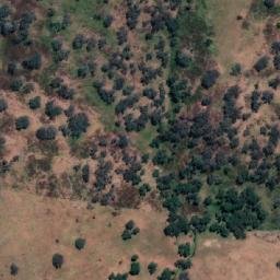 Satellite imagery of Box Hill, AU
