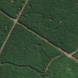 Satellite imagery of survey_point, BR