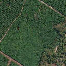 Satellite imagery of survey_point, BR