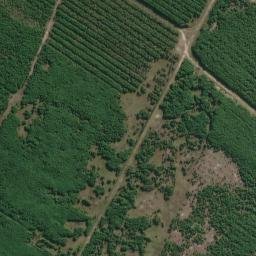 Satellite imagery of survey_point, BR