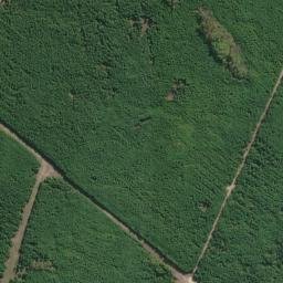 Satellite imagery of survey_point, BR