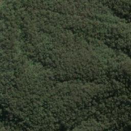Satellite imagery of Tangory Mountain, AU