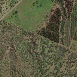 Satellite imagery of Las Cruces, CL