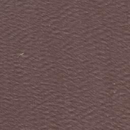 Satellite imagery of Ponta Negra, BR