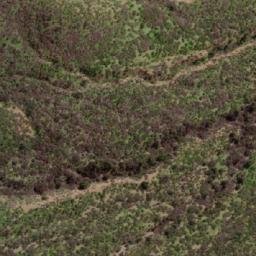 Satellite imagery of Cerro Golin, CL