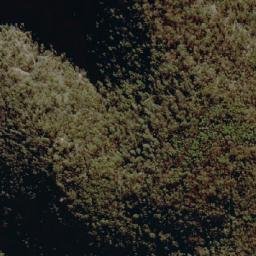 Satellite imagery of Oz Mountain, AU