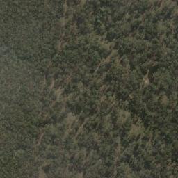Satellite imagery of Branxton, AU