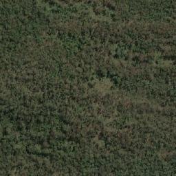 Satellite imagery of Fig Tree Hill, AU