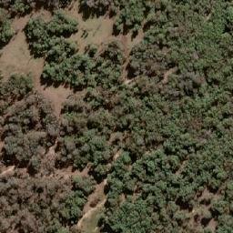 Satellite imagery of Elephant Mountain, AU