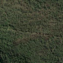 Satellite imagery of Fig Tree Hill, AU