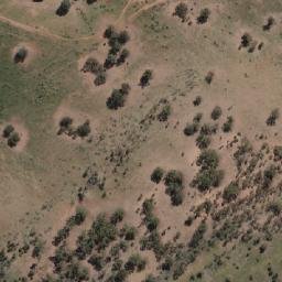 Satellite imagery of Mount Wild Dog, AU