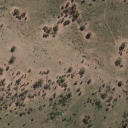 Satellite imagery of Mount Wild Dog, AU