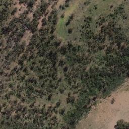Satellite imagery of Mount Wild Dog, AU