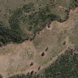 Satellite imagery of Mount Wild Dog, AU