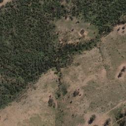 Satellite imagery of Mount Wild Dog, AU